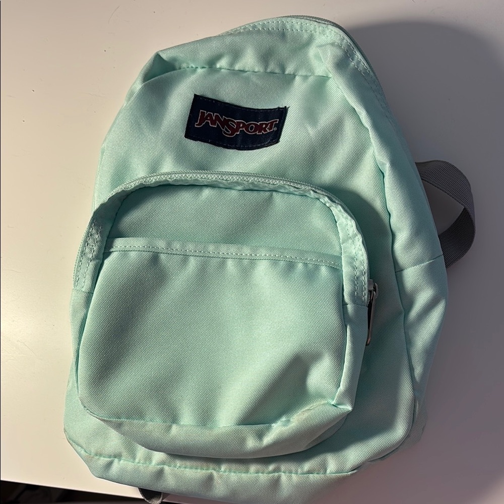 JanSport Mint Green Mini Backpack